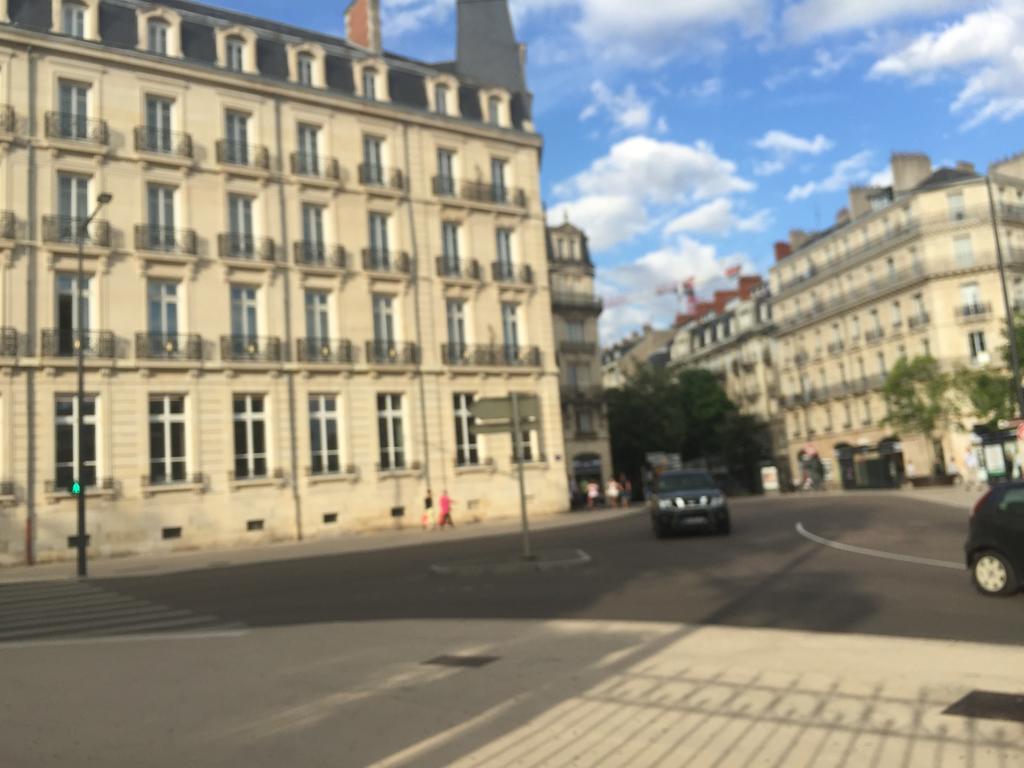 Ideal Art Deco Compris Un Parking Prive Securise Darcy Liberte Centre Gare-Ville Dijon Eksteriør billede